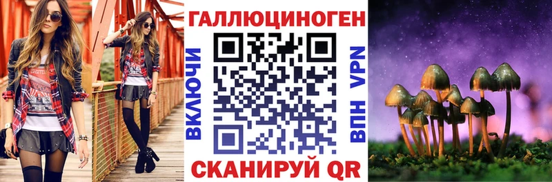 Галлюциногенные грибы мицелий  это официальный сайт  Отрадный 